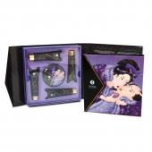 Подарочный набор Geishas secret из 5 предметов - Shunga - купить с доставкой во Владимире