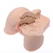 Мастурбатор-полуторс Naked Factory Kate - Naked Factory - во Владимире купить с доставкой