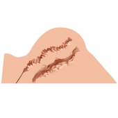 Мастурбатор-полуторс Naked Factory Hannah - Naked Factory - во Владимире купить с доставкой