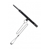 Черный узкий однослойный ошейник с серебристым поводком-цепочкой - Pecado - купить с доставкой во Владимире