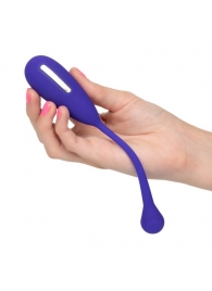 Фиолетовый шарик с электростимуляцией и вибрацией Intimate E-Stimulator Remote Kegel Exerciser - California Exotic Novelties - купить с доставкой во Владимире