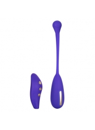 Фиолетовый шарик с электростимуляцией и вибрацией Intimate E-Stimulator Remote Kegel Exerciser - California Exotic Novelties - купить с доставкой во Владимире