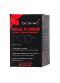 Капсулы для мужчин Erotichard male power с пантогематогеном - 20 капсул (0,370 гр.) - Erotic Hard - купить с доставкой во Владимире