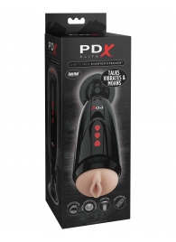 Мастурбатор-вагина с вибрацией Dirty Talk Starter Stroker - Pipedream - во Владимире купить с доставкой