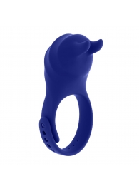 Синее эрекционное виброкольцо с клиторальной подушечкой и пультом ДУ Adjustable Fun Ring - Zero Tolerance - во Владимире купить с доставкой