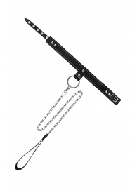 Черный узкий однослойный ошейник с серебристым поводком-цепочкой - Pecado - купить с доставкой во Владимире