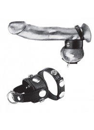 Утяжка для мошонки и пениса Cock Ring With 1  Ball Stretcher And Optional Weight Ring - BlueLine - купить с доставкой во Владимире