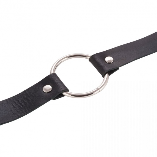 Черный поводок и чокер с кольцом Rada - Rebelts - купить с доставкой во Владимире