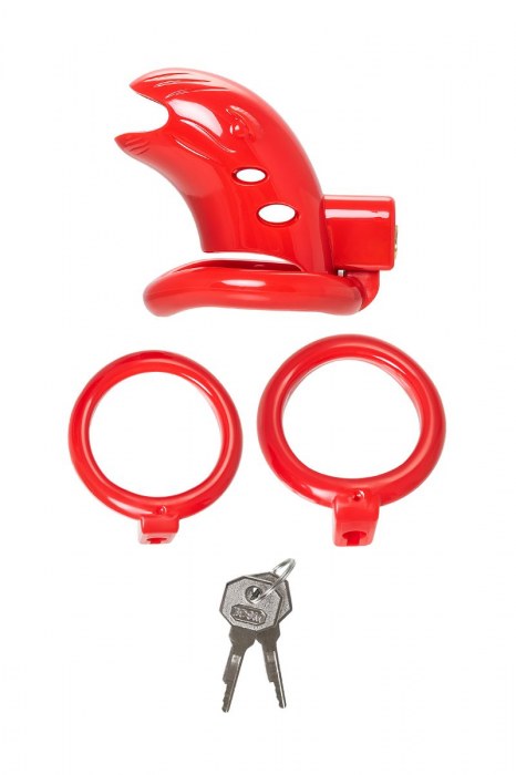 Красный мужской пояс верности из пластика - ToyFa - купить с доставкой во Владимире