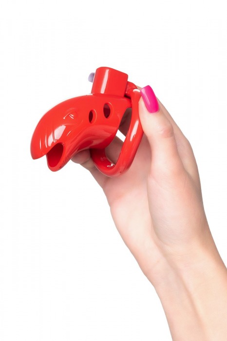 Красный мужской пояс верности из пластика - ToyFa - купить с доставкой во Владимире