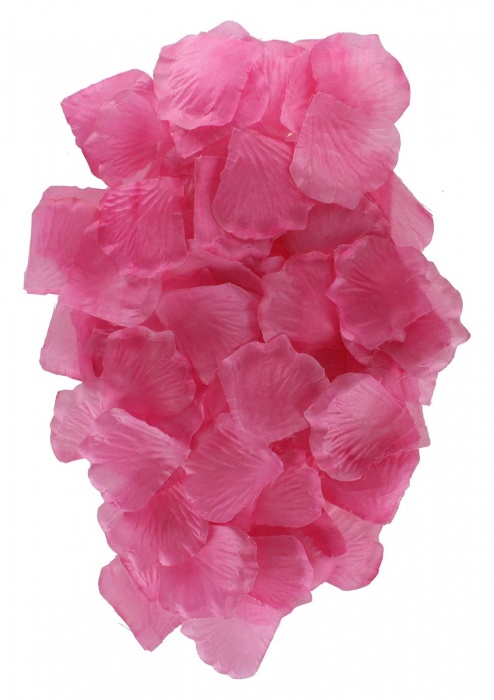 Эротический набор FANTASTIC PURPLE SEX TOY KIT - Toy Joy - купить с доставкой во Владимире