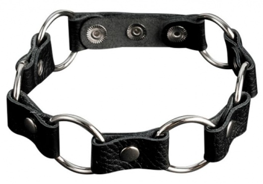 Кожаный черный ошейник с кольцами - Sitabella - купить с доставкой во Владимире