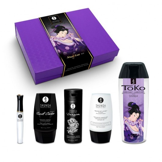 Подарочный набор Naughter Kit - Shunga - купить с доставкой во Владимире