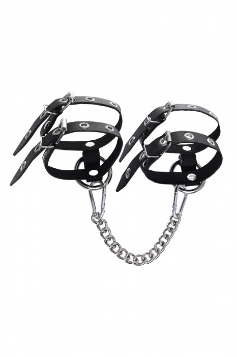 Черные однослойные кожаные оковы из двух ремешков - Pecado - купить с доставкой во Владимире