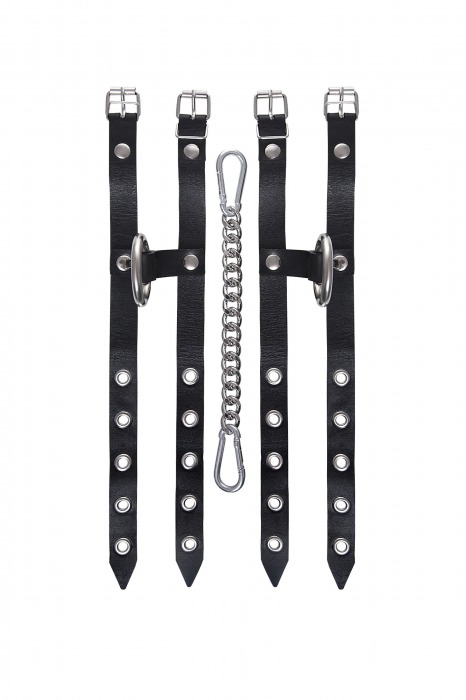 Черные однослойные кожаные оковы из двух ремешков - Pecado - купить с доставкой во Владимире