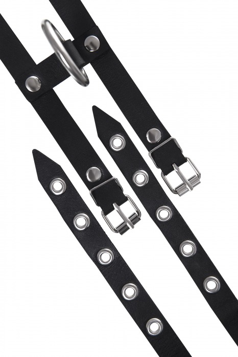 Черные однослойные кожаные оковы из двух ремешков - Pecado - купить с доставкой во Владимире