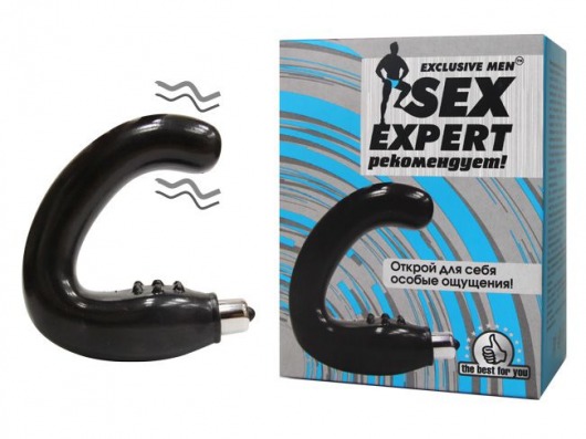 Чёрный массажёр простаты серии Sex Expert - Sex Expert - во Владимире купить с доставкой