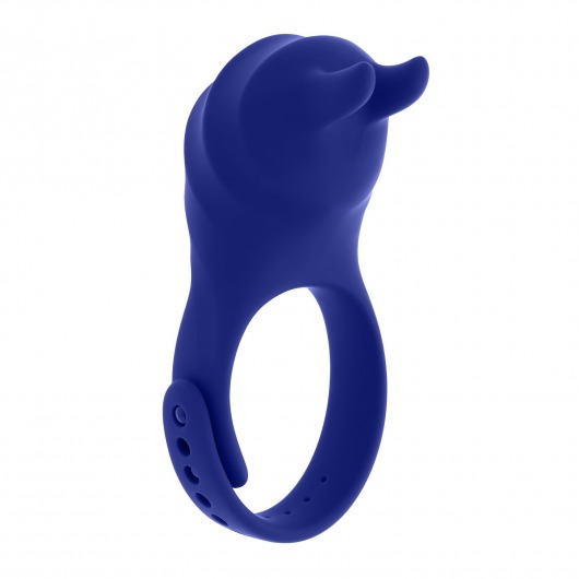Синее эрекционное виброкольцо с клиторальной подушечкой и пультом ДУ Adjustable Fun Ring - Zero Tolerance - во Владимире купить с доставкой