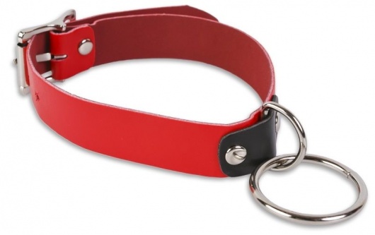 Красный ошейник с колечком - Пикантные штучки - купить с доставкой во Владимире