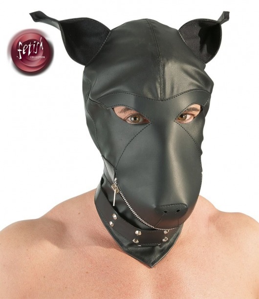 Шлем-маска Dog Mask в виде морды собаки - Orion - купить с доставкой во Владимире