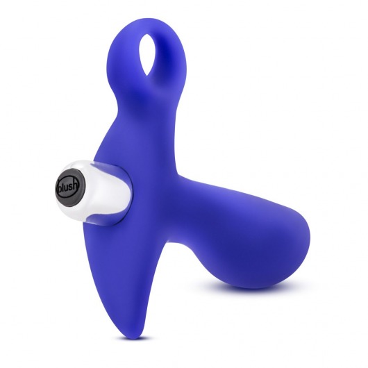 Синий стимулятор простаты с ручкой-кольцом Performance Prostimulator 02 - Blush Novelties - во Владимире купить с доставкой