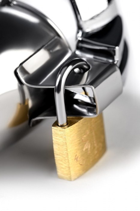 Серебристый мужской пояс верности TOYFA Metal - ToyFa - купить с доставкой во Владимире