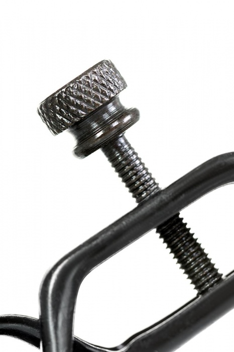 Черно-золотистые зажимы для сосков TOYFA Theatre - ToyFa - купить с доставкой во Владимире