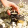 Массажная свеча Aphrodisia с цветочным ароматом - 70 мл. - Bijoux Indiscrets - купить с доставкой во Владимире